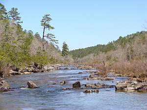 Cossatot Up Stream.