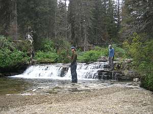 Glacier Gunsight Falls