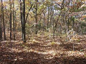 Hercules Long Ck Trail