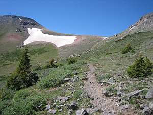 La Garita Halfmoon Pass Elk.