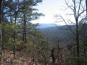 Mt Magazine Ross Hollow Vista.