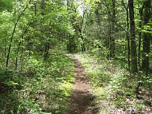 Robbers Cave Trail in Woods.