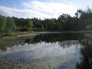 Robbers Cave - Cattail Pond.