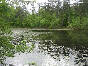 Robbers Cave - Lost Lake.