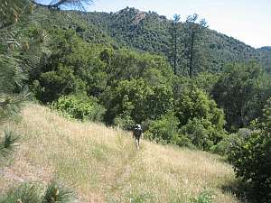 Silver Peak Above Silver.
