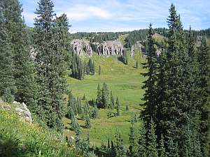 South San Juan Meadow on Fish Lake Tr.