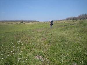 South San Juan Jct Meadow going to Alverjones Lake.