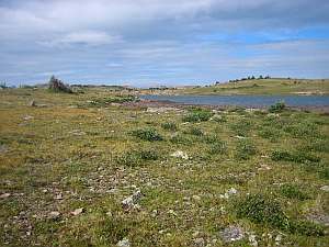 South San Juan Trail Lake.