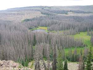 South San Juan Dipping Lakes.