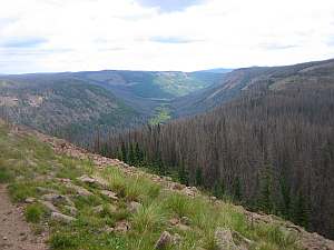 South San Juan View of Elk Valley.